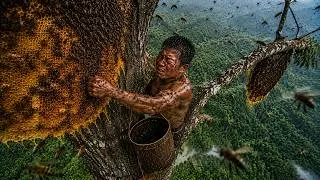 Thumbnail: Honey Hunting in the Jungle – Giant Wild Beehives and Endless Bee Attacks