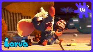 Thumbnail: Brown has MAGIC healing hands!? 👐 - Larva