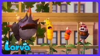 Thumbnail: Don't EAT those Magic BEANS!? 💨 - Larva