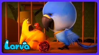 Thumbnail: Yellow swallowed a WHOLE chicken?! 🍗 - Larva