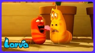 Thumbnail: Larva - Sticky Situation! Yellow Wants Gum 🍬 | Kids Cartoons | WildBrain Circus