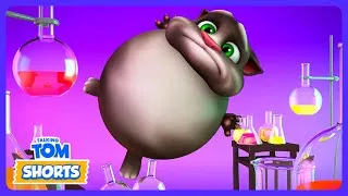 Thumbnail: Drinking EVERY crazy laboratory potion!? 🧪 - Talking Tom Shorts · 2026 Cartoons for Kids