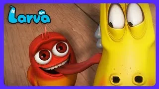 Thumbnail: Larva - Blumen-Püpse im Paradies! 🌸 | Kinderfilme | WildBrain Kinder