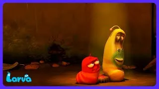Thumbnail: Larva - The Last Bubble Wrap Pop! 🫧 | Kids Cartoons | WildBrain Toon Town