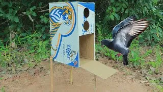 Thumbnail: Wow! Unique Bird Trap - Pigeon Bird Trap Using Cardboard Box