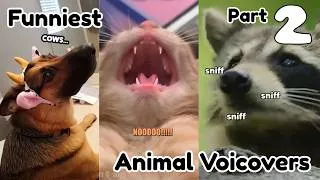 Thumbnail: Funniest Animal Voiceovers On The Internet Part 2