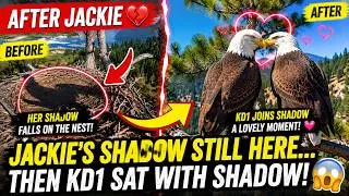 Thumbnail: OMG 😱 JACKIE'S SPIRIT APPEARED ON THE NEST 😢💔 KD1 Suddenly Joined Shadow on the Twin Pines 😳♥️