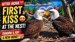 Thumbnail: AFTER JACKIE 😭 SHADOW RETURNES To The NEST With KD1😱❤️ They Finally Get Closer 🦅❤️ New Beginning ❤️