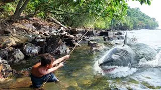 Thumbnail: Survival Shark Trapping: Build a Shark Trap in the Wild