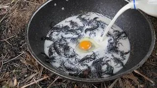 Thumbnail: Scorpions Cooking in My village.