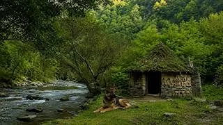 Thumbnail: I Spent 100 Days Building Ultimate Survival Shelters