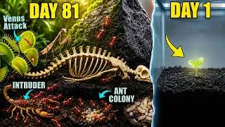 Thumbnail: I Simulated a Jungle for 500 Days—Then Ants Took Over!