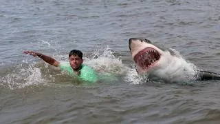 Thumbnail: Shark Attack on Fishing Boat | fun made great white shark fish attack video 3