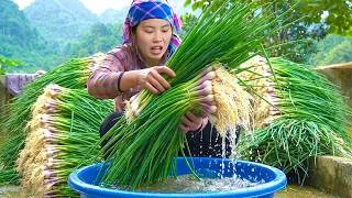 Thumbnail: Single mom taking care of chicks & ducklings and harvesting green onions to sell with children
