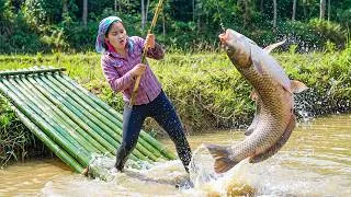 Thumbnail: Harvesting huge fish pond to sell at market with single mom Duong and little children