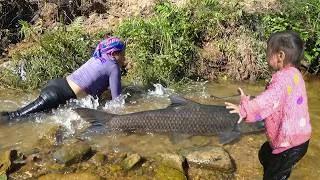 Thumbnail: River fish harvesting: Duong with 3 children catching fish by hand to sell at market