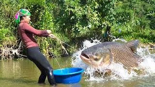 Thumbnail: Fish harvesting: Single mom Duong catching tons of river fish by hand with little children to sell