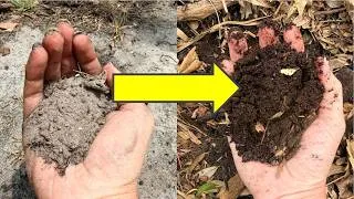 Thumbnail: How to Build Better Soil Every Year