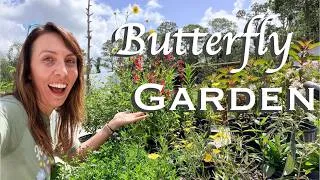 Thumbnail: I Built a Florida Native Butterfly Garden