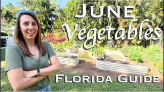 Thumbnail: What to Plant in June in Florida | Vegetable Garden Guide