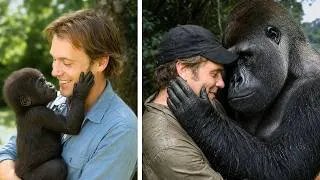 Thumbnail: 25 Million People Watched This Gorilla Reunion. Almost No One Knows the TRUE STORY.