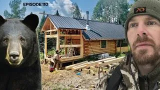 Thumbnail: Bear, Bathroom Addition: Log Walls |EP110| Log Cabin Build on Off-Grid Homestead