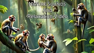 Thumbnail: Nature Sounds and relaxation video  | Beauty of amazon rainforest .