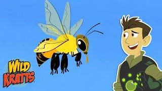 Thumbnail: African Honey Bee | Tougher than a Lion? | Animals for Kids | Wild Kratts
