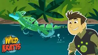 Thumbnail: Lizard Walks on Water | Basilisk Lizard | Animals for Kids | Wild Kratts
