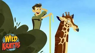 Thumbnail: Why do giraffes have long necks? | Animals for Kids | Wild Kratts
