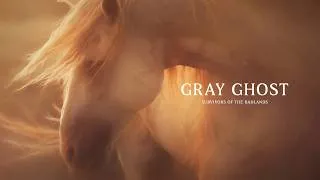 Thumbnail: Bison Mourning a Wild Horse | Survivors of the Badlands Documentary Clip
