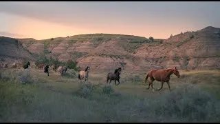 Thumbnail: Run With Me - Official Music Video - Wild Horse Song