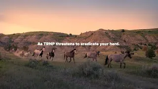 Thumbnail: Fight for the Wild Horses of Theodore Roosevelt National Park With Their Own Documentary.