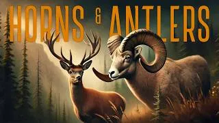 Thumbnail: HORNED KINGDOM | Full Wildlife Documentary