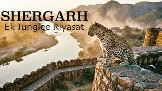 Thumbnail: Shergarh: Ek Junglee Riyasat | Shergarh Wildlife Sanctuary, Rajasthan | 4k