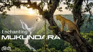Thumbnail: 'Enchanting Mukundara': The Story of Mukundara Hills Tiger Reserve