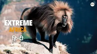 Thumbnail: The Simien Mountains - हिन्दी डॉक्यूमेंट्री | Wildlife documentary in Hindi