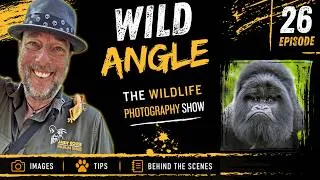 Thumbnail: Face to Face With Mountain Gorillas | Wild Angle #25