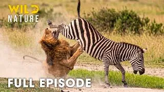 Thumbnail: Botswana (Full Episode) | Survival Battles in the World’s Deadliest Migration | nature documentary