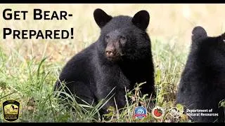 Thumbnail: Get Bear-Prepared!