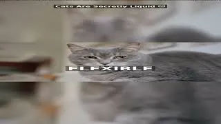 Thumbnail: Cats Are Secretly Liquid 🐱