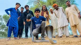 Thumbnail: Rescued a big Size Cobra Snake | Wildlife Education |