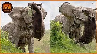 Thumbnail: Deadliest Elephant Attacks Caught on Camera | Wild Animals | The Most Dangerous Predators