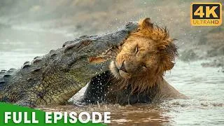 Thumbnail: Africa's Deadliest Predators | MEGA EPISODE | Nature Animal Documentary