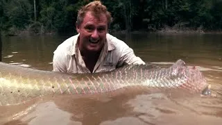 Thumbnail: Amazon River Fishing Adventure - Catching Rare Fish in Guyana