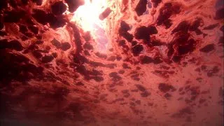 Thumbnail: Ningaloo Reef: Australia’s Hidden Marine Paradise Teeming With Life