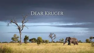 Thumbnail: A Letter to Kruger National Park (4K)