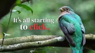Thumbnail: Gifts from the forest | Karkloof Nature Reserve