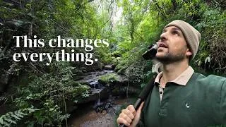Thumbnail: A new perspective | The Forest Pod
