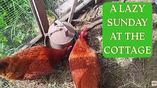 Thumbnail: FRUGAL LIVING: 1940s Garden Jobs July & An Unexpected Rescue 🐑